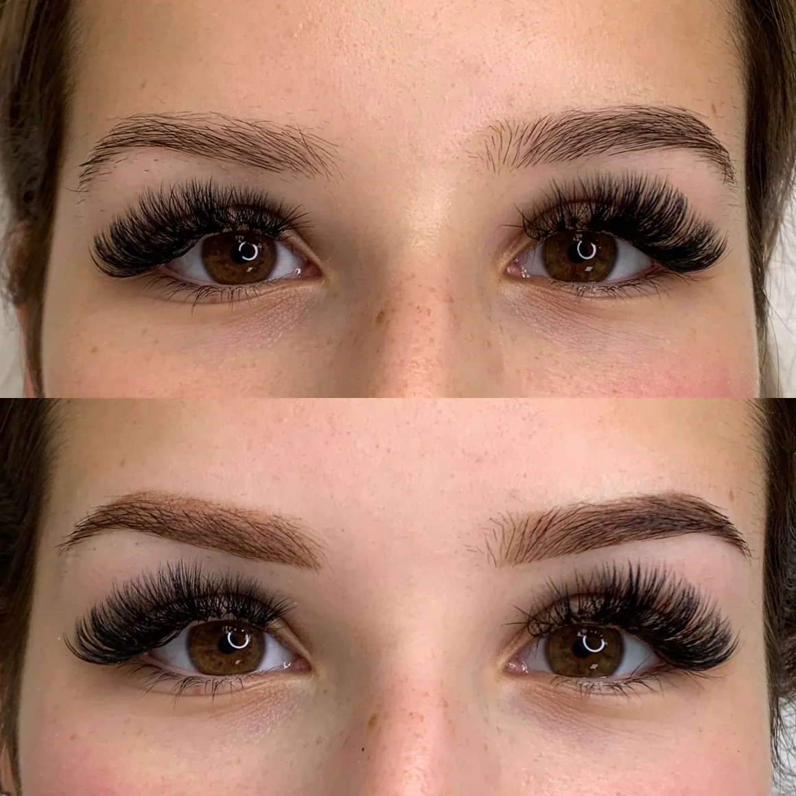 Powderbrows